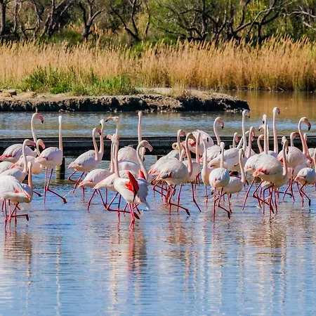 Appart'ici 2 - Spacieux Apartmanhotel 2*